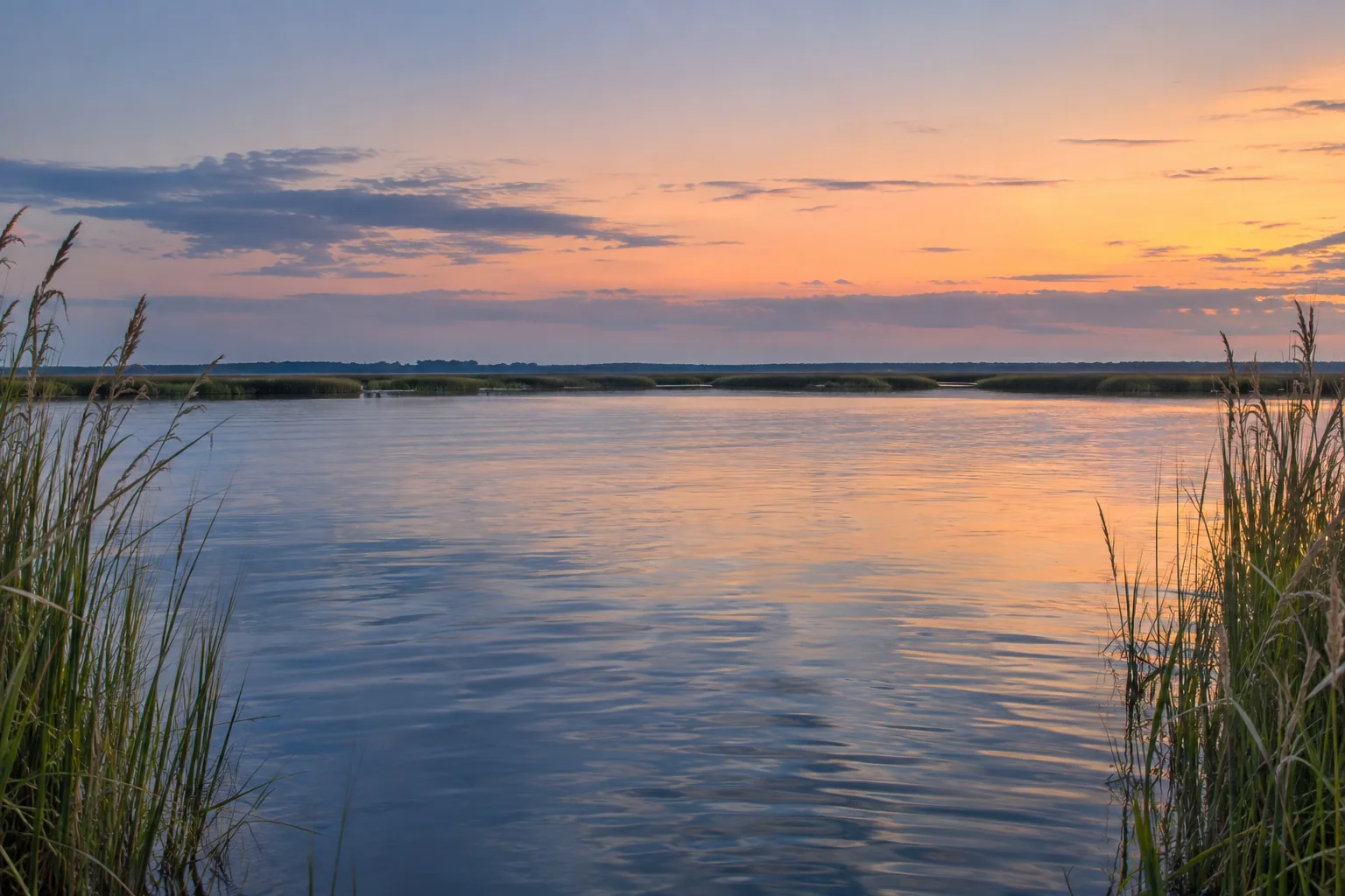 A quiet tidal creek at dusk, framed by fine saltmarsh reeds, reflecting a peach and silver-blue sky